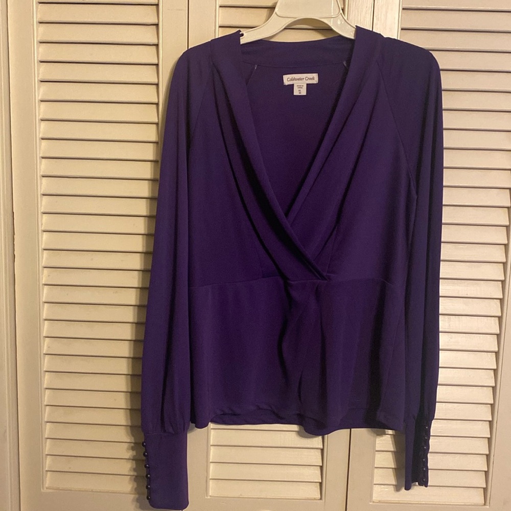 Dressy purple blouse.